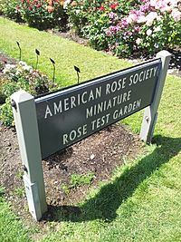 Archivo:International Rose Test Garden, Portland, Oregon (2013) - 3