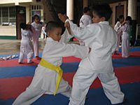 Archivo:JJS Karate Kids on Training