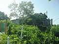 Kuncheilá (Tekal de Venegas), Yucatán (05)