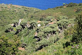 Caserío de La Tosca desde el mirador del mismo nombre.