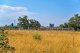 La finca El Mejorito.jpg
