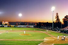 Minor league.jpg