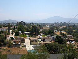 North encanto.jpg