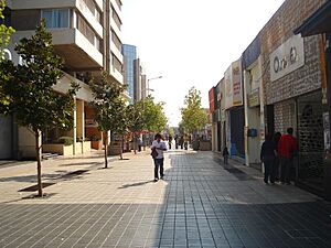 Archivo:Paseo Independencia