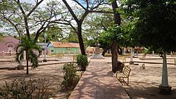 Plaza de Santa Rita de Manapire.jpg