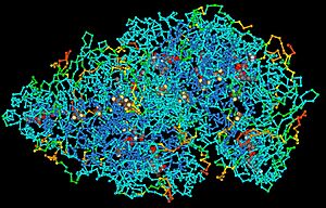 Archivo:ProteinStructure