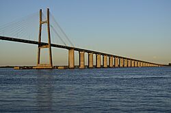 Archivo:Puente Rosario victoria y Luna