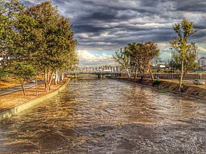 Archivo:Río Primero y Puente del Bicentenario. Córdoba city, Argentina 2013-10-29