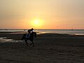 Sanlucar caballo playa calentamiento