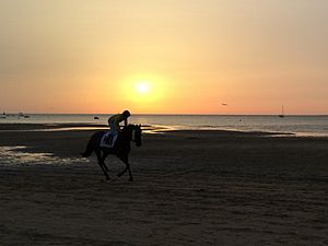 Archivo:Sanlucar caballo playa calentamiento