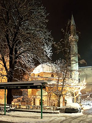 Archivo:Sarajevo Ferhad-begova-Mosque02