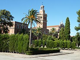 SemiMetroValencia.JPG