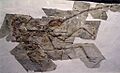 Sinornithosaurus millenii 2