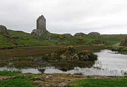 Smailholm Tower 22407 from E