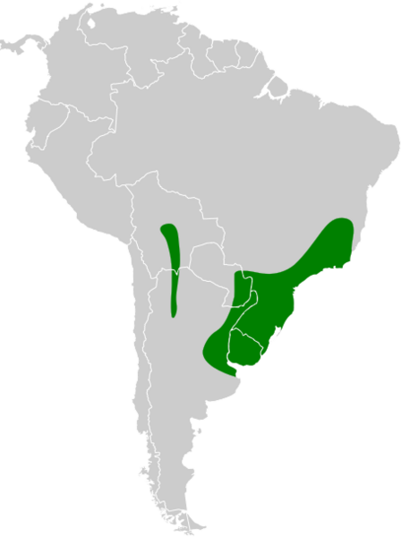 Thamnophilus ruficapillus map