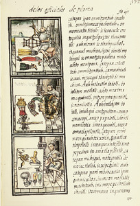 The Florentine Codex- Feather Painters IV