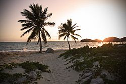 Archivo:Tropical beach sunset