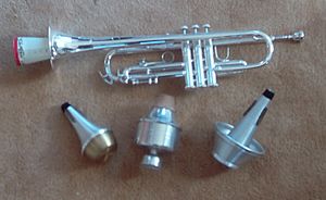 Archivo:TrumpetMutes