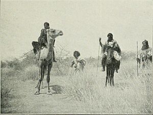 Archivo:Tuareg a camello, moro a pie, tuareg a caballo, tuareg a pie, ribera del Níger 1896