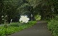 Tussen Lavesum en Haltern am See, fietspad en autoweg door de bomen positie1 foto16 2016-08-15 13.51