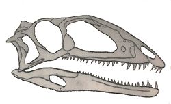 Archivo:Zupaysaurus skull