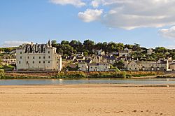 © Dominique Drouet-Montsoreau .jpg