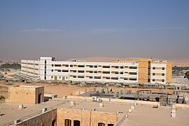 الجامعة الهاشمية 2-8.jpg