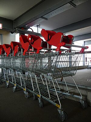 Archivo:Babyschalen auf Einkaufswagen