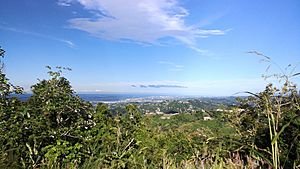 Archivo:Barrio Cedro Abajo, Naranjito, Puerto Rico