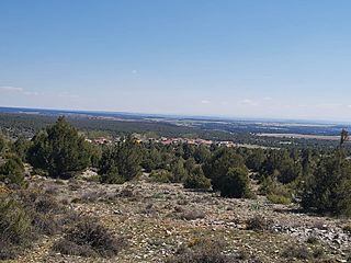 Briongos de Cervera.jpg