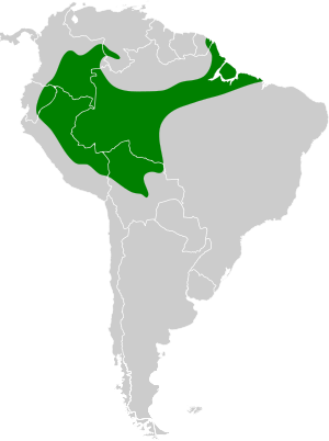 Archivo:Buteogallus schistaceus map