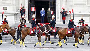 Archivo:CEREMONIA DE CAMBIO DE GUARDIA (8998272543)