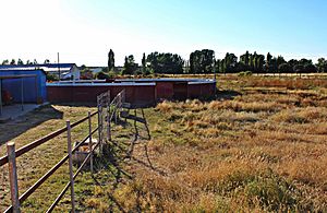 Archivo:Campo de toros de Vega de Tirados