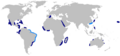 Carcharhinus altimus distmap