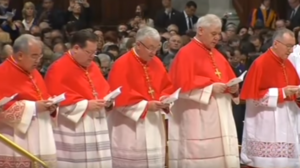 Archivo:Cardenales 2