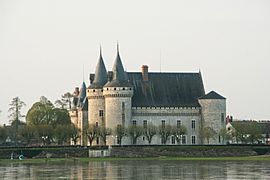 Castle sully france