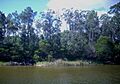 Chihuahua, Maldonado, Uruguay - panoramio (3)