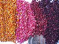 Colored quinoa Genebank INIA Juliaca