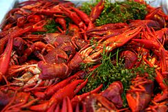 Cooked crayfish with dill.jpg