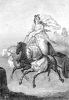 Cynisca by Sophie de Renneville.jpg