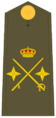 Ejerespadivi23