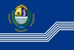 Flag of Salto Department.svg