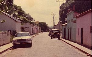 Archivo:Guanape