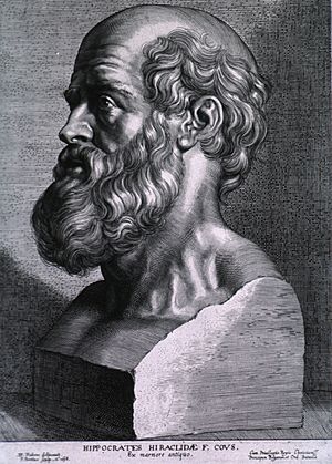 Archivo:Hippocrates rubens