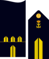 Infmaridivi11.svg