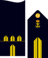 Infmaridivi11