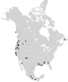 Isolated North America