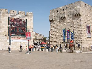 Archivo:Jaffa Gate Jerusalem 03
