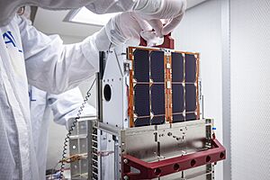 Archivo:LICIACube CubeSat a companion satellite of Dart Spacecraft