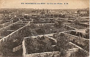 Archivo:MONTREUIL - Le clos des peches